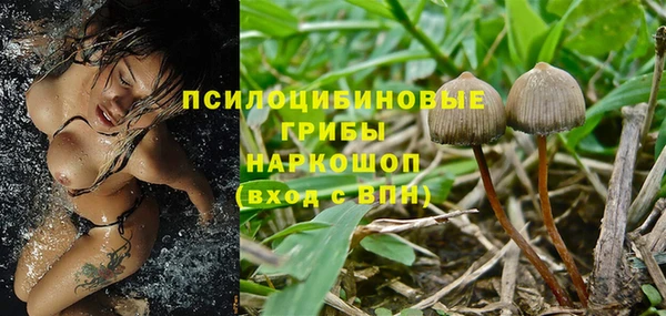 каннабис Беломорск